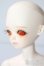 画像3: BLUEFAIRY/Theme special TF Nile - New face A-25-09-10-047-TN-ZA