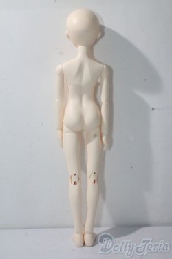 画像5: BLUEFAIRY/Theme special TF Nile - New face A-25-09-10-1097-TN-ZU