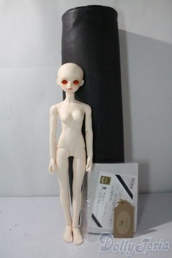 画像6: BLUEFAIRY/Theme special TF Nile - New face A-25-09-10-1097-TN-ZU