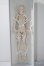 画像2: doll menagerie/Natural Posing Girl A-25-09-10-048-TN-ZA (2)