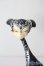 画像1: dollchateau/vanessa A-25-09-10-041-TN-ZA (1)