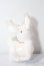 画像2: cocoriang/shifty A-25-09-10-040-TN-ZA (2)