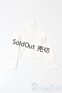 SDM＆MSD/OF:トップス U-25-09-16-007-TN-ZU