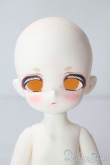 TinyFox/デビー A-25-09-10-045-TN-ZA