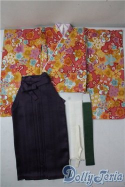 画像1: SD/OF：華やか袴セット U-25-09-09-126-TN-ZU