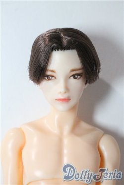 画像1: petworks/六分の一男子図鑑EIGHT　BASIC A-25-09-17-1045-TN-ZU