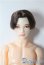 画像1: petworks/六分の一男子図鑑EIGHT　BASIC A-25-09-17-1045-TN-ZU (1)