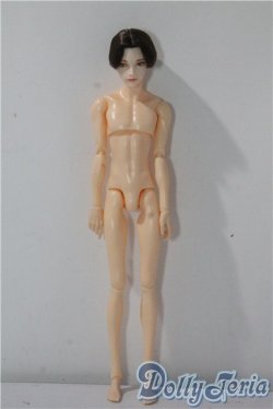 画像2: petworks/六分の一男子図鑑EIGHT　BASIC A-25-09-17-1045-TN-ZU