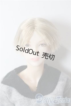 画像1: petworks/六分の一男子図鑑 エイト ビーチスタイル A-25-09-17-1046-TN-ZU