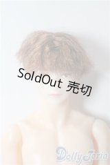 petworks/六分の一男子図鑑EIGHT　BASIC A-25-09-17-1044-TN-ZU