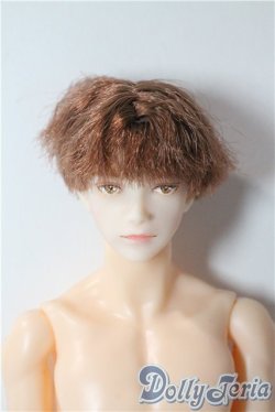画像1: petworks/六分の一男子図鑑EIGHT　BASIC A-25-09-17-1044-TN-ZU