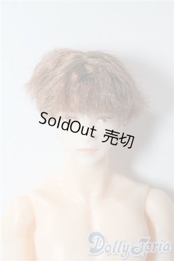 画像1: petworks/六分の一男子図鑑EIGHT　BASIC A-25-09-17-1044-TN-ZU