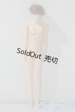 画像2: petworks/六分の一男子図鑑EIGHT　BASIC A-25-09-17-1044-TN-ZU