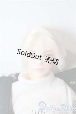 画像1: petworks/六分の一男子図鑑　エイト A-25-09-17-1050-TN-ZU