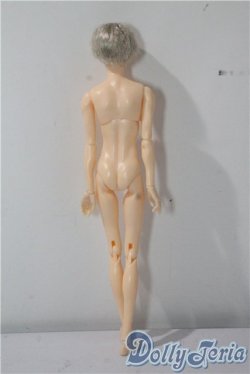 画像3: petworks/六分の一男子図鑑　エイト A-25-09-17-1032-TN-ZU