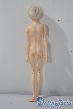 画像3: petworks/六分の一男子図鑑　エイト A-25-09-17-1031-TN-ZU