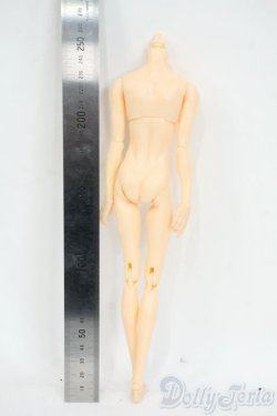 画像2: 六分の一男子図鑑/エイト　ボディ Y-26-01-14-243-TN-ZY