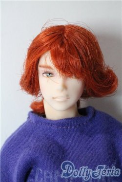 画像1: 六分の一男子図鑑/ナインボディ A-25-09-17-1036-TN-ZU