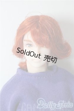 画像1: 六分の一男子図鑑/ナインボディ A-25-09-17-1036-TN-ZU