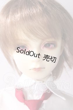 画像1: SD13BOY/DWC #01ヘッド+13BOY分割ボディ U-25-09-23-218-TN-ZU