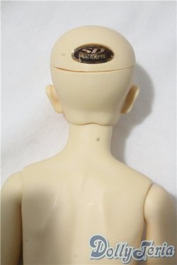 画像6: SD13男の子/近衛司 U-25-09-16-215-TN-ZU