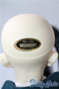 画像6: SD17B/ウィリアムズ Williams Commodore Ver.2 U-25-09-23-220-TN-ZU