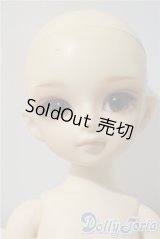 幼SDあゆむ　1st U-25-09-16-214-TN-ZU