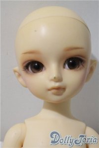 幼SDあゆむ　1st U-25-09-16-214-TN-ZU