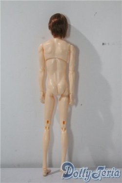 画像3: petworks/六分の一男子図鑑　ナイン A-25-09-17-1035-TN-ZU