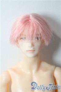 petworks/六分の一男子図鑑　ナイン A-25-09-17-1034-TN-ZU