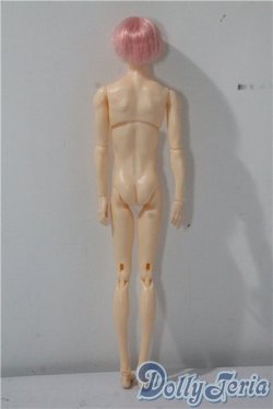 画像3: petworks/六分の一男子図鑑　ナイン A-25-09-17-1034-TN-ZU