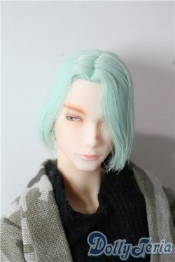 画像1: petworks/六分の一男子図鑑　ナイン A-25-09-17-1033-TN-ZU
