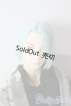 画像1: petworks/六分の一男子図鑑　ナイン A-25-09-17-1033-TN-ZU