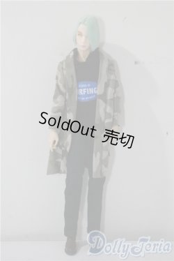 画像2: petworks/六分の一男子図鑑　ナイン A-25-09-17-1033-TN-ZU