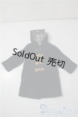 SD/OF:アウター U-25-09-16-146-TN-ZU