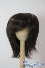 5.5inch/ウィッグ A-25-09-17-1060-TN-ZA