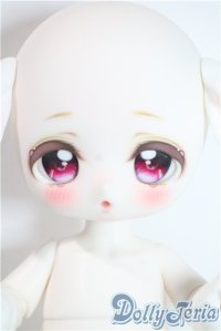 ADVillage/Macarons A-25-09-17-1092-TN-ZA