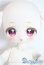 画像1: ADVillage/Macarons A-25-09-17-1092-TN-ZA (1)