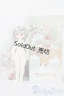画像5: tinyfox/1/6 anna A-25-09-17-1095-TN-ZA