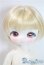 画像1: TinyFox/ 悪魔と天使の子羊 アスモティ 1/6 A-25-09-17-1094-TN-ZA (1)