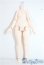 画像1: sprouting　dragon/1/6 doll body A-25-09-17-1096-TN-ZA (1)