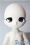 画像4: tinyfox/ルーシー A-25-09-24-1099-TN-ZU