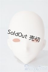 IMOMODOLL/Canis-A Head　ヘッドのみ A-25-09-24-1091-TN-ZU