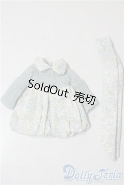 画像1: 22cmサイズドール/OF:小物 A-25-09-24-1074-TN-ZU