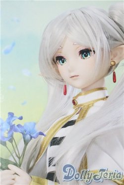 画像1: DDS/フリーレン A-25-10-01-1099-NY-ZU