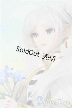 画像1: DDS/フリーレン A-25-10-01-1099-NY-ZU