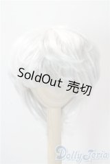 9-10inch/ウィッグ U-25-10-07-042-TN-ZU