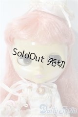 ネオブライス/デインティビスケット A-25-10-08-1090-TN-ZU