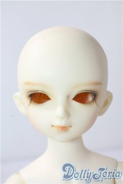 画像1: SDM/フルチョイスF19 U-25-10-07-218-TN-ZU