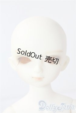 画像1: SDM/フルチョイスF19 U-25-10-07-218-TN-ZU